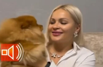 Пусть˲ говорят: выпуск 15.12.2025 – Пытки в рехабе